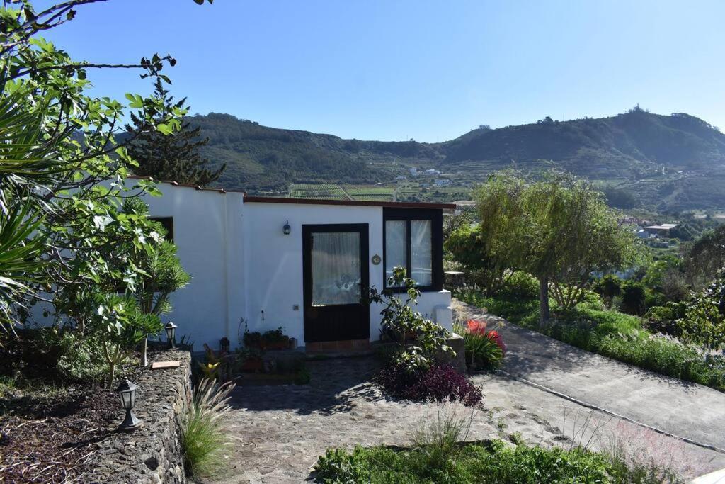 Casita De La Montana De Maria Villa Tegueste Eksteriør billede